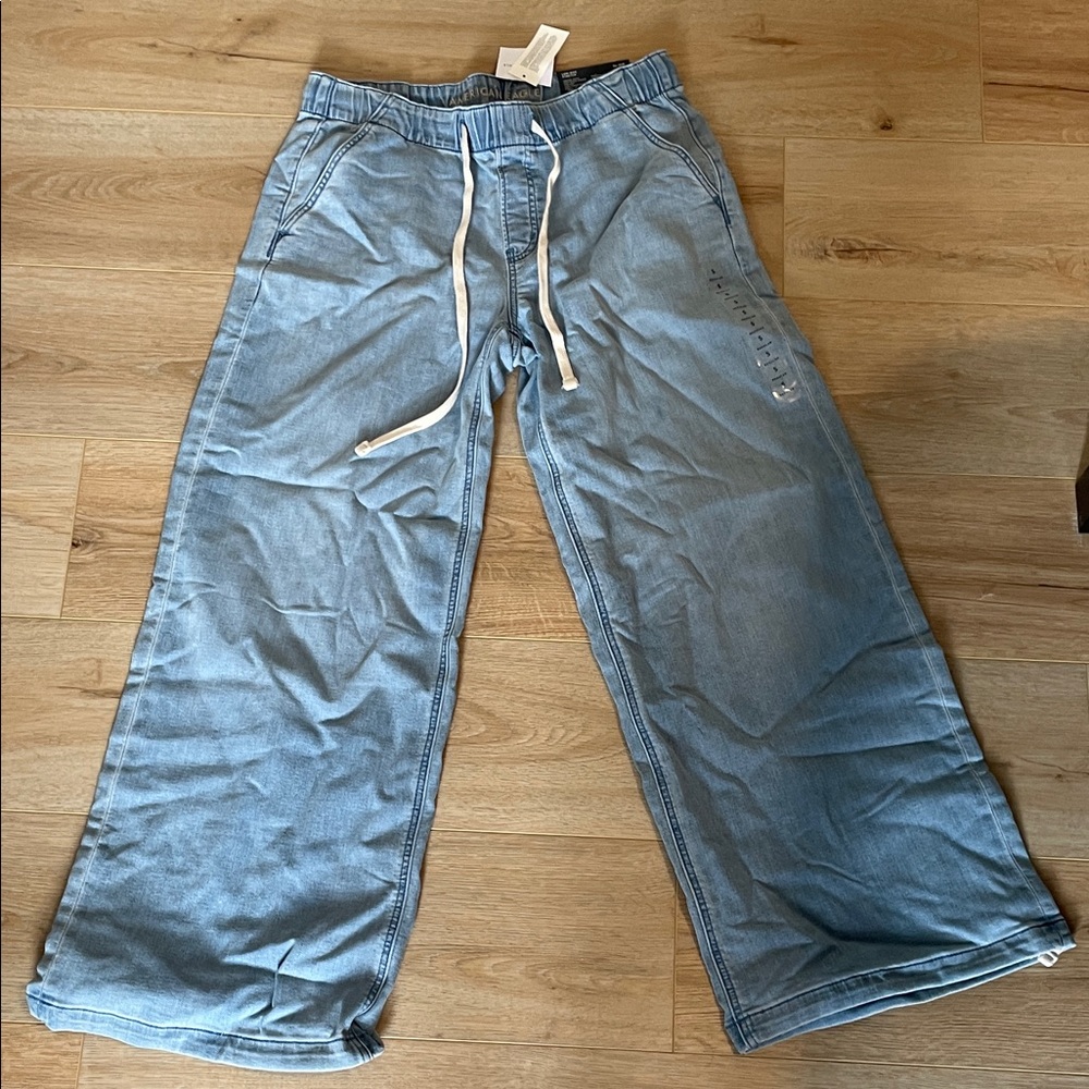 American Eagle Outfitters Women Light Blue Joggers